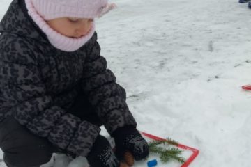 Ziemas māksla. 10.grupa “Bitīte” 11