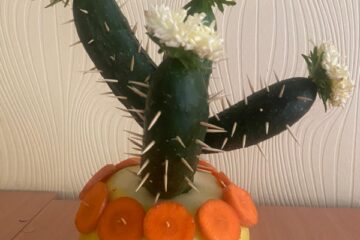 Bērnu un vecāku radošo darbu izstāde “Dārzeņu pārvertības” 12