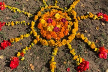 Rudens mandalas 19