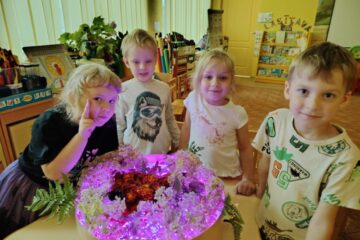 Rudens paklājs 2025 11