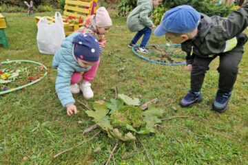 Rudens paklājs 2025 85