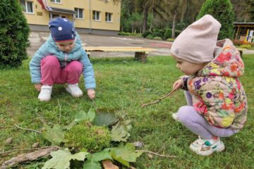 Rudens paklājs 2025 80