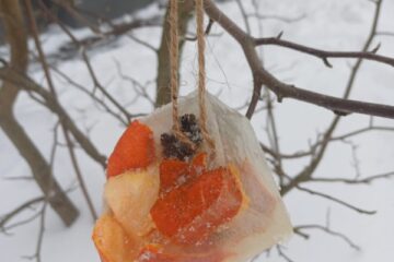 Gardumi spārnotājiem draugiem 28