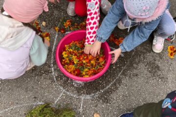 Rudens paklājs 2025 62