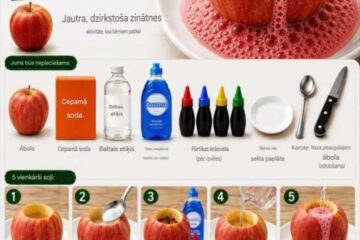 STEAM Interešu izglītības pulciņa “Prāta un radošuma ceļš” aktivitātes. Benita Strode 4