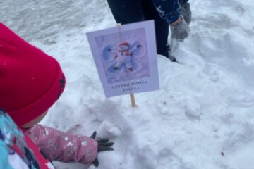 Pavingro ar sniegavīru 4