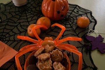 “Mazie spociņi un ķirbīši” 85