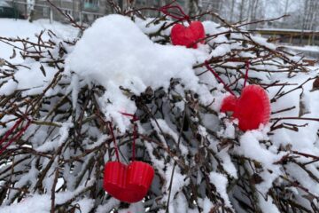 Draudzības diena 2026 39