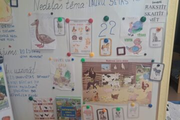 Atklātā nodarbība “Lauku sētas mājdzīvnieki un mājputni” 11.grupa “Saules zaķītis” 10