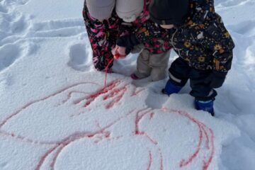Sniega un ledus noslēpumi mazuļiem 31