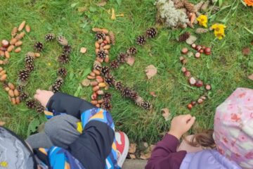 Rudens paklājs 2025 50