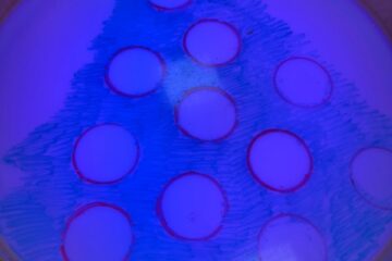 Atklātā nodarbība “Palīdzēsim rūķīšiem”. 6.grupa “Runcītis” 2