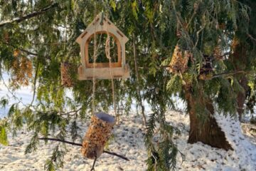 Gardumi spārnotājiem draugiem