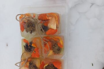 Gardumi spārnotājiem draugiem 25