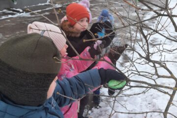 Sniega un ledus noslēpumi mazuļiem 33