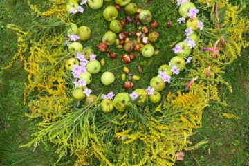 Rudens paklājs 2025 69