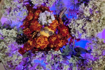 Rudens paklājs 2025 52