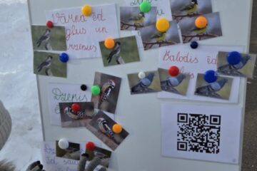 Atklātā nodarbība „Putnu nometnieku palīgi!” 9.grupa “Vardulēns” 24