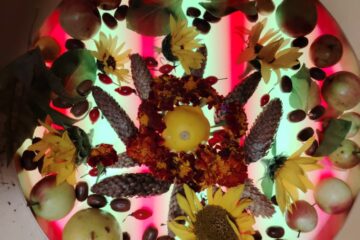 Rudens paklājs 2025 7