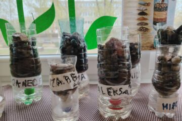 eTwinning projekts Future Steamers “Ūdens filtrēšana” 24