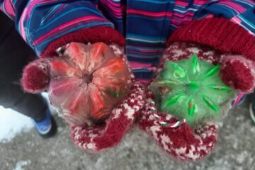 Sniega un ledus noslēpumi mazuļiem 30