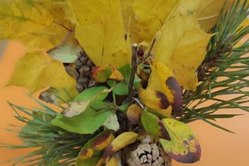 Bērnu un vecāku radošo darbu izstāde “Dārzeņu pārvertības” 25