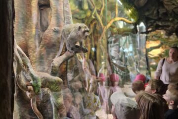 Latgales zoodārza brīnumaina pasaule 18