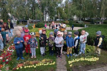 Rudens krāsu paklājs 16