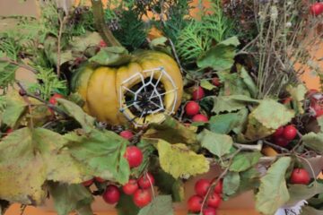 Bērnu un vecāku radošo darbu izstāde “Dārzeņu pārvertības” 15