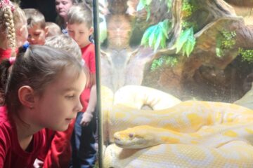 Latgales zoodārza brīnumaina pasaule 54