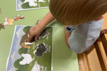 Atklātā nodarbība “Lauku sētas mājdzīvnieki un mājputni” 11.grupa “Saules zaķītis” 4