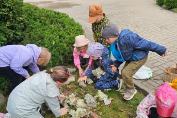 Rudens paklājs 2025 31