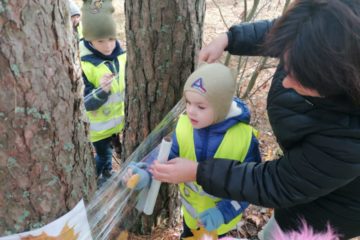 Mācību ekskursija uz rudens mežu “Mazie mākslinieki”  2. un 3.grupas (Poligona50) 4