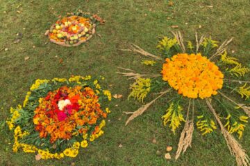 Rudens paklājs 2025 65