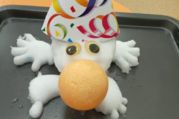 Sniega un ledus noslēpumi mazuļiem 21