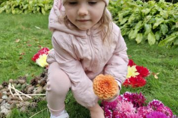 Rudens paklājs 2025 72