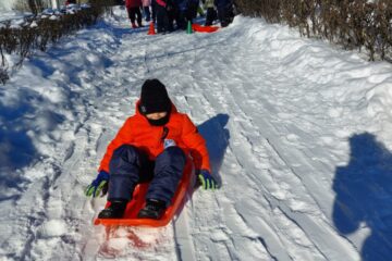 Ziemas Olimpiskās spēles 50