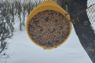 Gardumi spārnotājiem draugiem 53