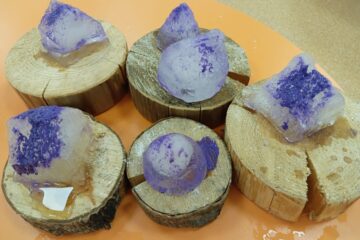 Sniega un ledus noslēpumi mazuļiem 27